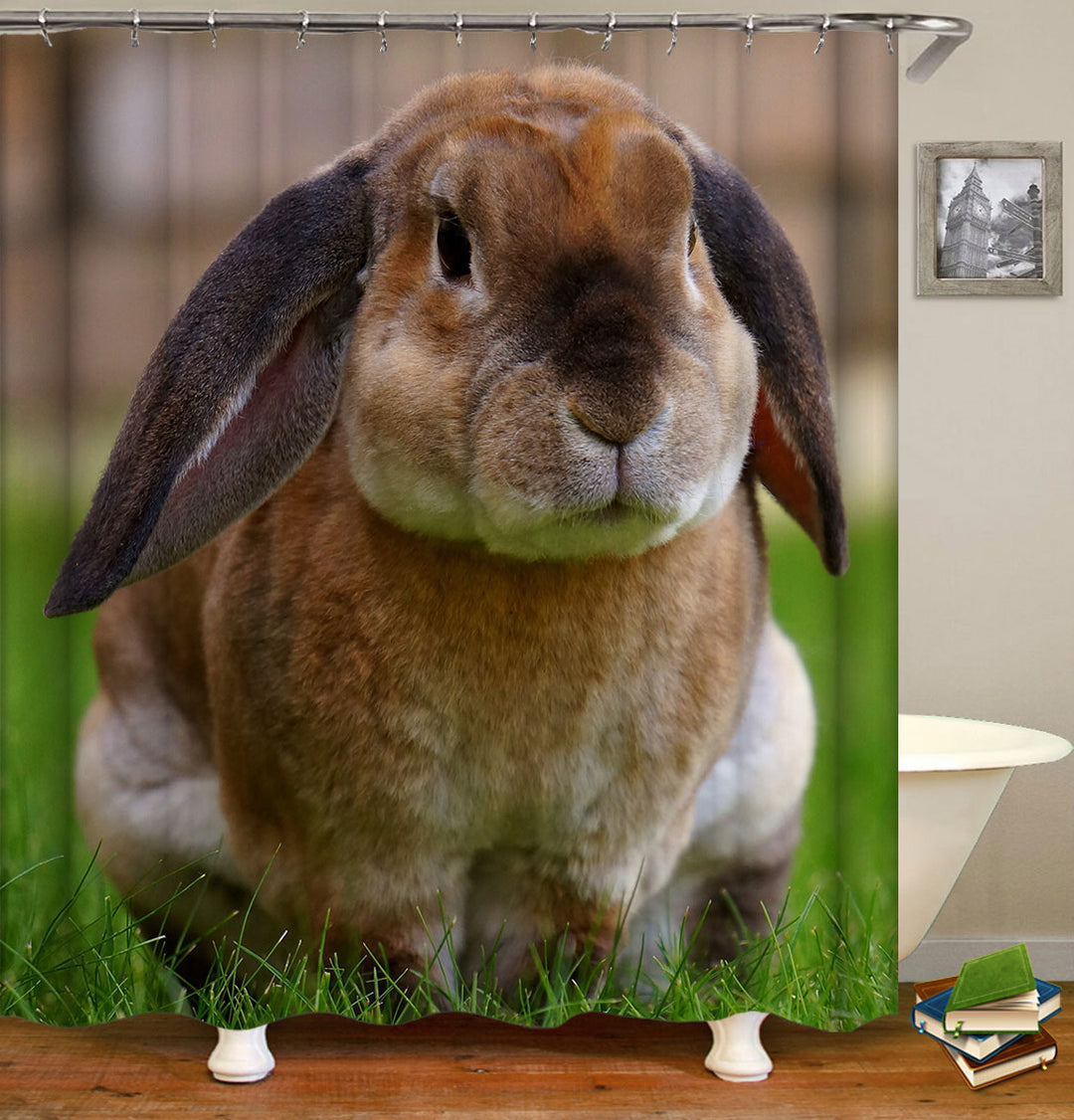 Cute Animals Bathroom Decor the Lop Rabbit Shower Curtain