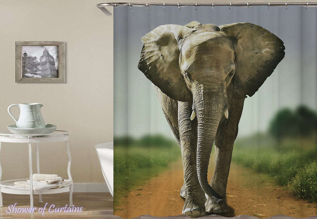 Elephant Shower Curtain On The Road