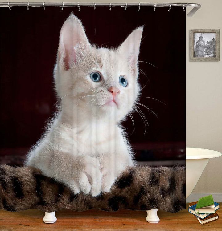 Adorable Cute Shower Curtains White Cat Kitten