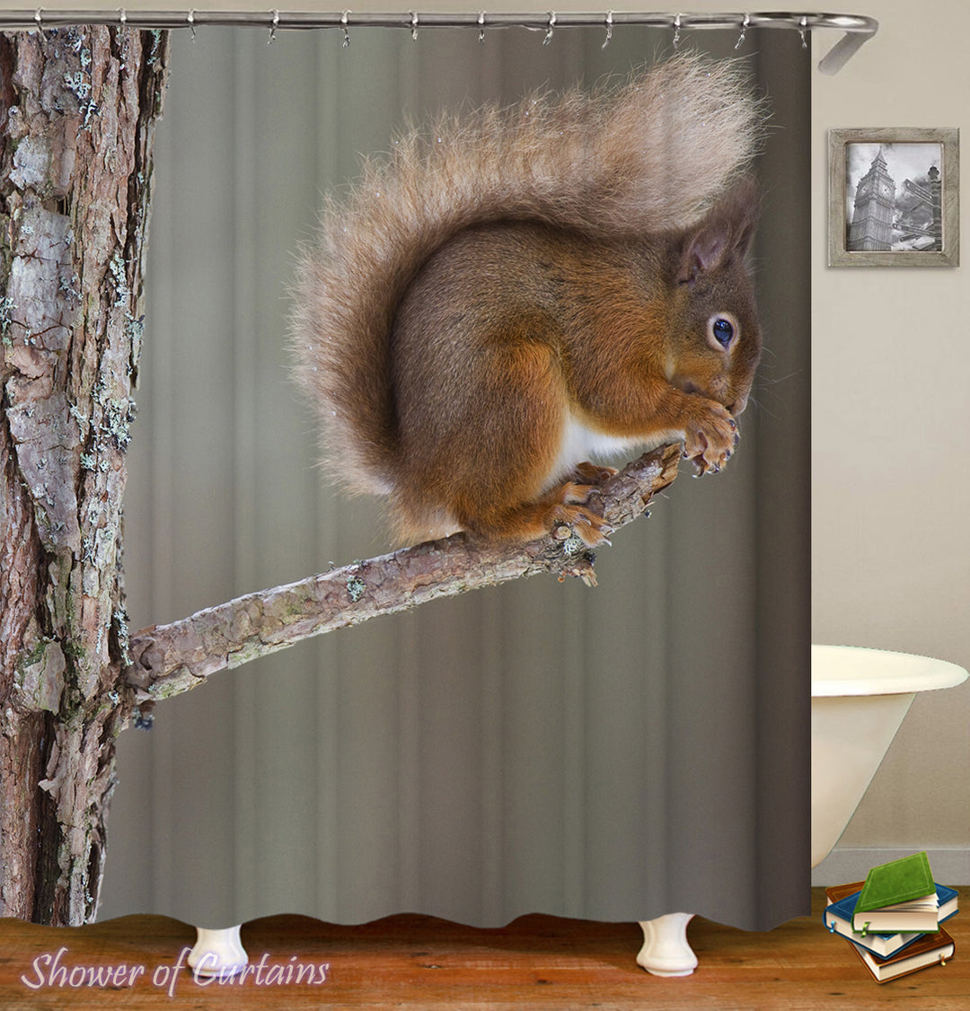 Cute Little Squirrel Shower Curtain
