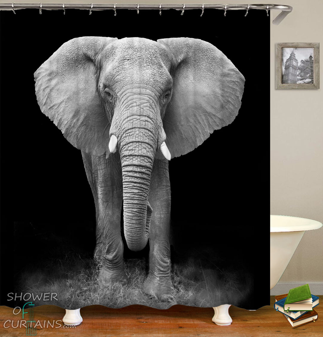 Elephant Shower Curtain Print - Black And White Elephant Photoshoot