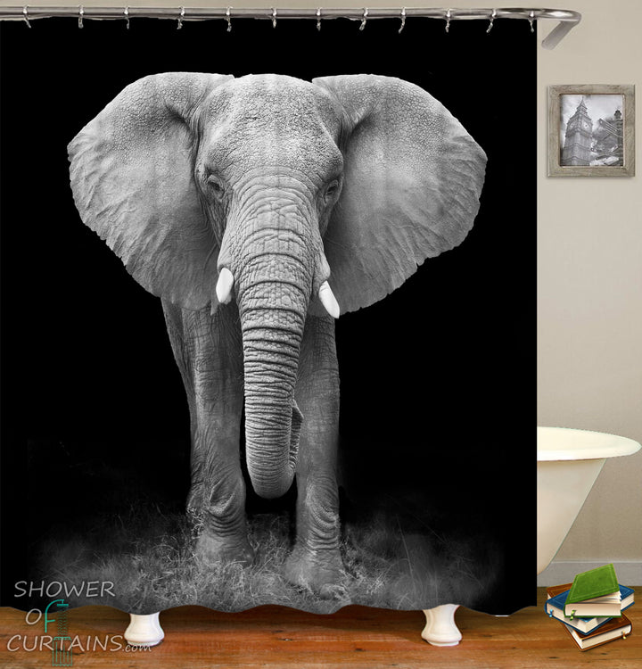Elephant Shower Curtain Print - Black And White Elephant Photoshoot