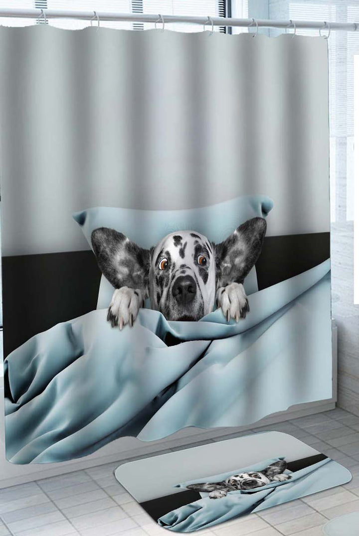 Funny Shower Curtains Scared Dalmatian Dog