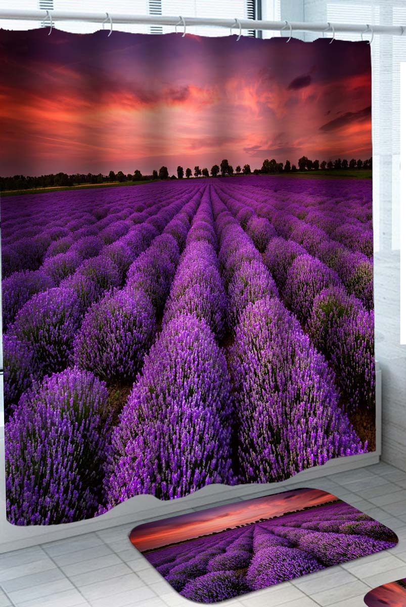 Lavender Field Shower Curtain