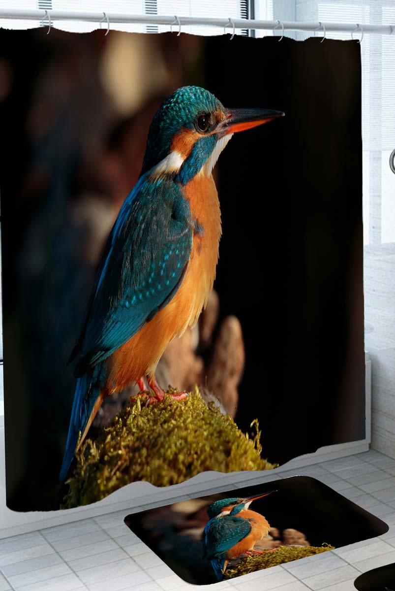 Photo of Woodpecker Bird Shower Curtain