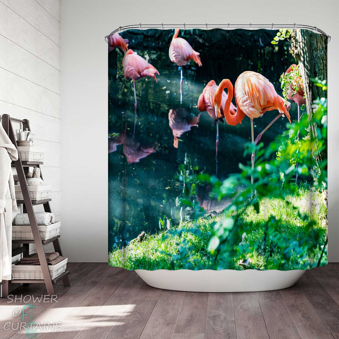 Shower Curtains with Beautiful Wild Flamingoes