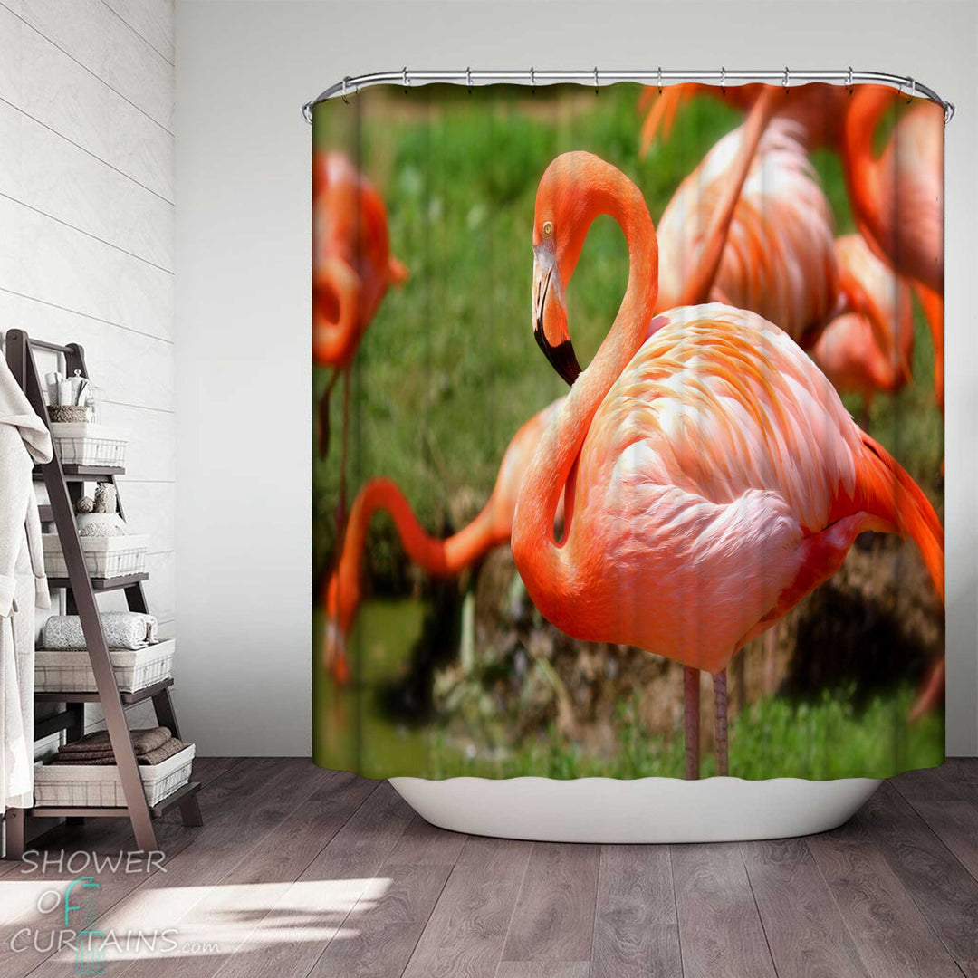 Shower Curtains with Stunning Pinkish Flamingo