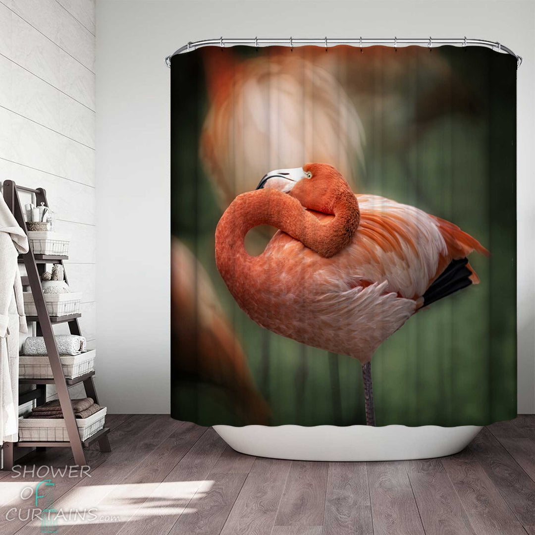 Shower Curtains with Wild Flamingo Shoot
