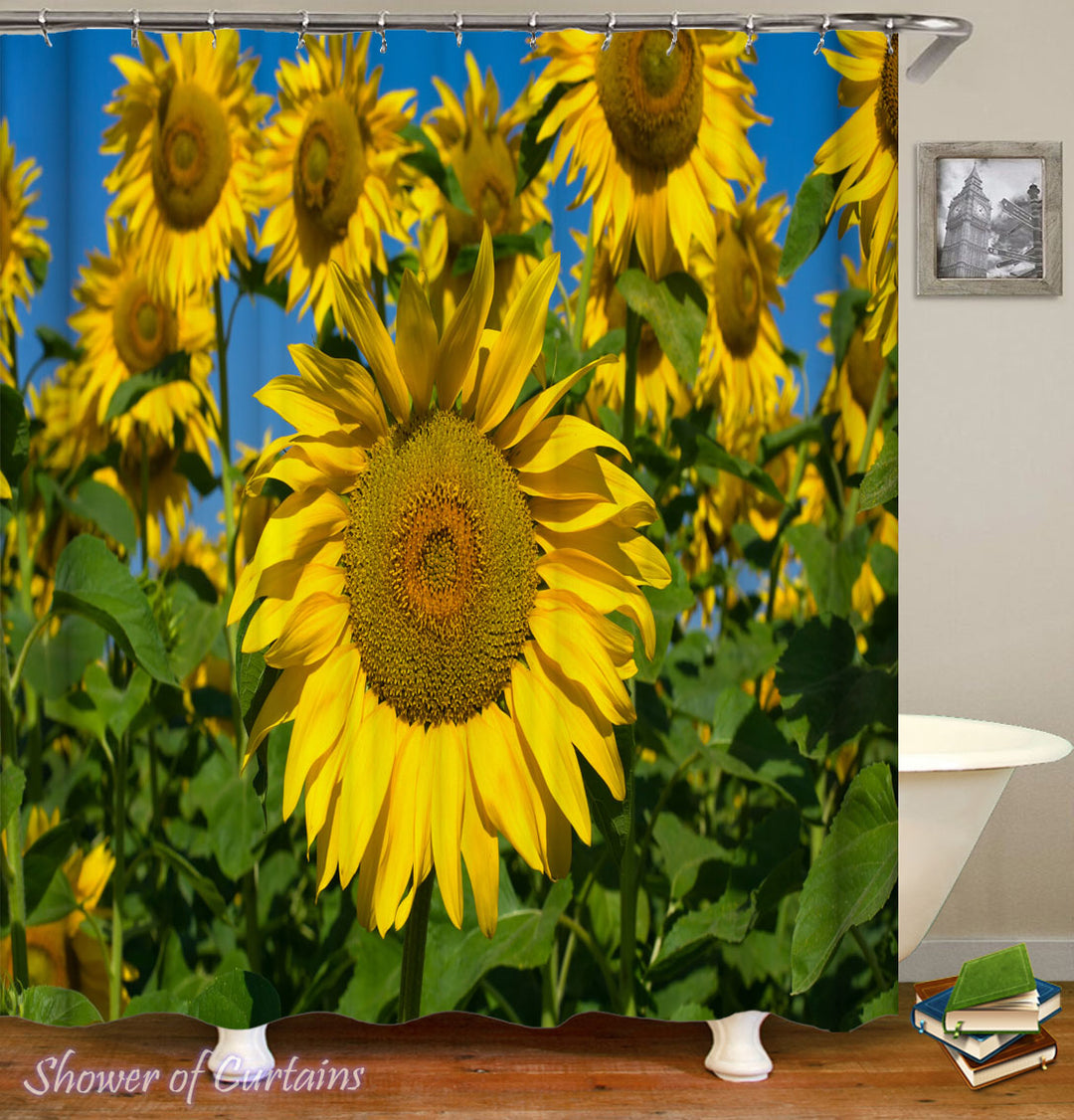Sunflower Shower Curtain of Sunflower Shoot