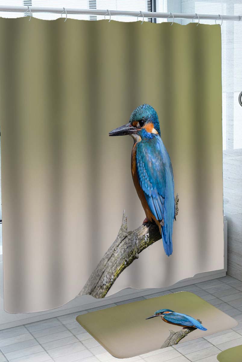 Turquoise Blue Woodpecker Bird Shower Curtains